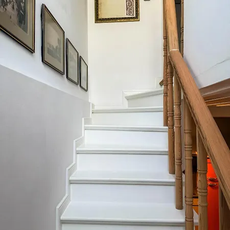 Sel Maison فيلة *